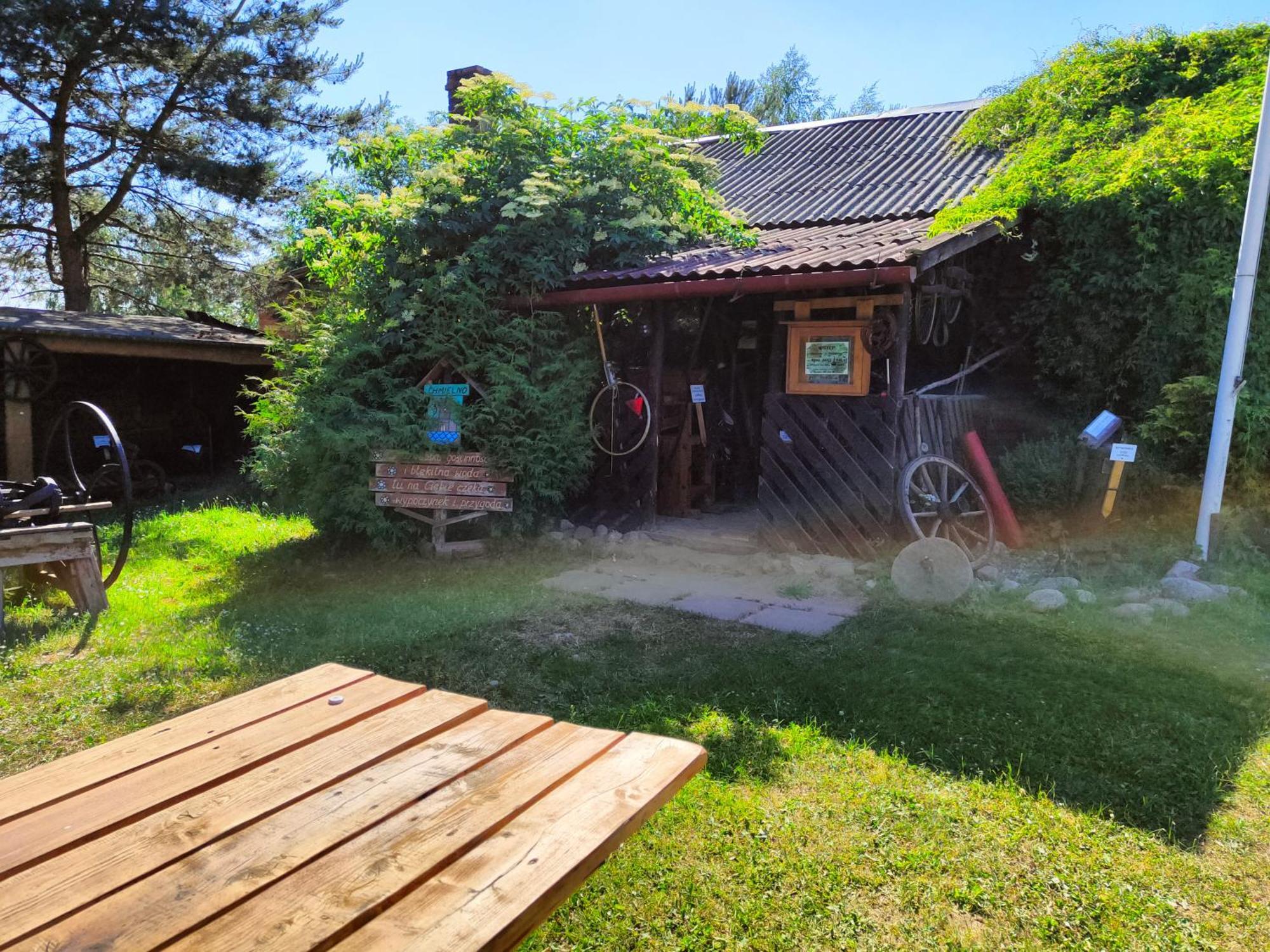 Domek Na Slonecznikowej 흐미엘노 외부 사진